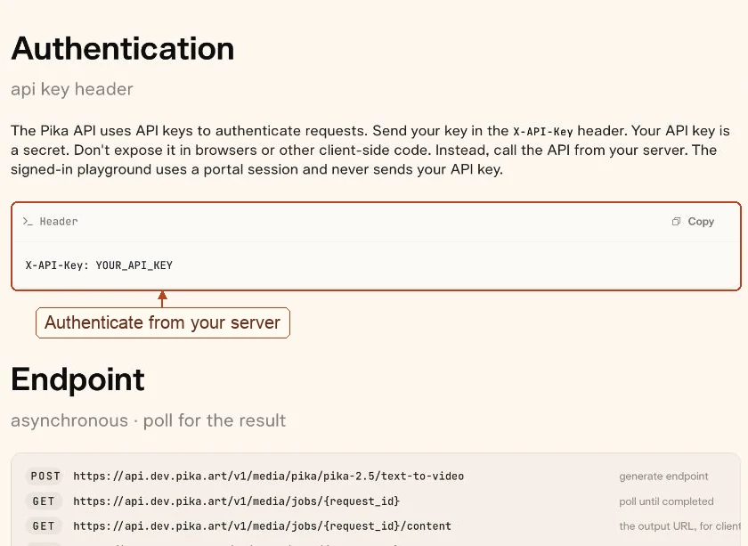 API documentation showing the X-API-Key header and Pika 2.5 endpoint