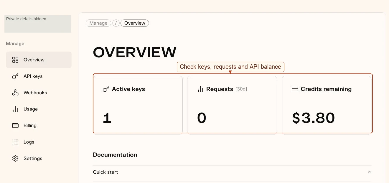 Pika API Club Overview with active keys, recent requests and API balance