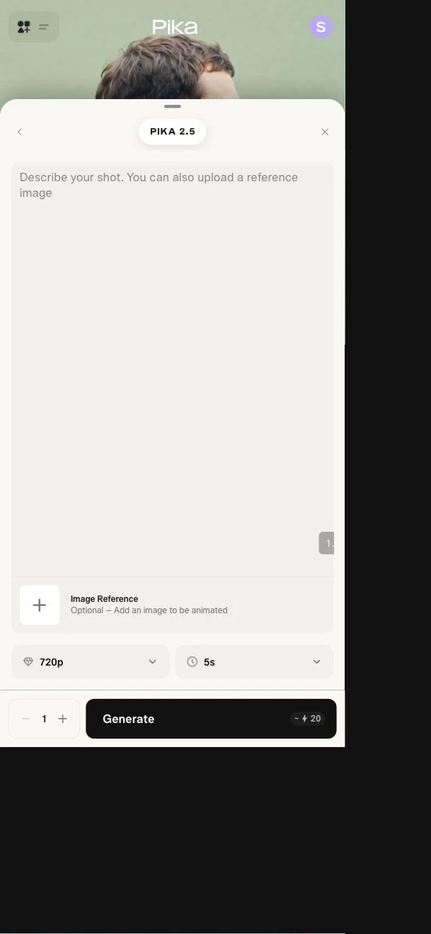 Expanded Pika 2.5 mobile composer showing the empty prompt, image reference and settings